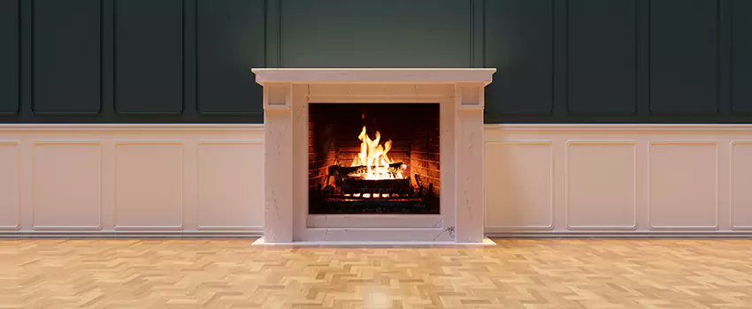 Napoleon Electric Fireplaces Inspection Service in South Bradenton, Florida