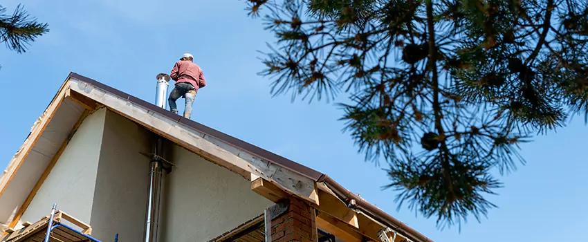 Birds Removal Contractors from Chimney in South Bradenton, FL